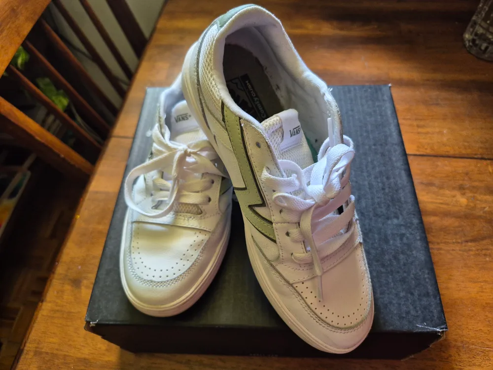 Vans Skate Shoes thumbnail
