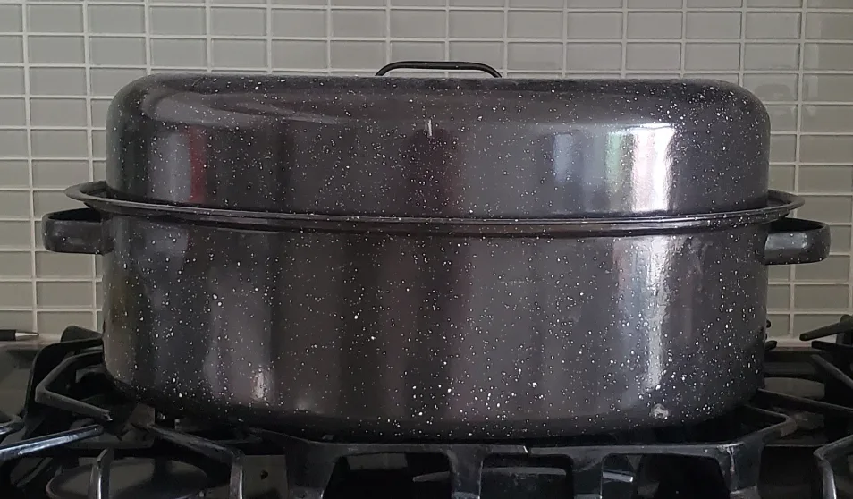Large Speckled Roasting Pan thumbnail