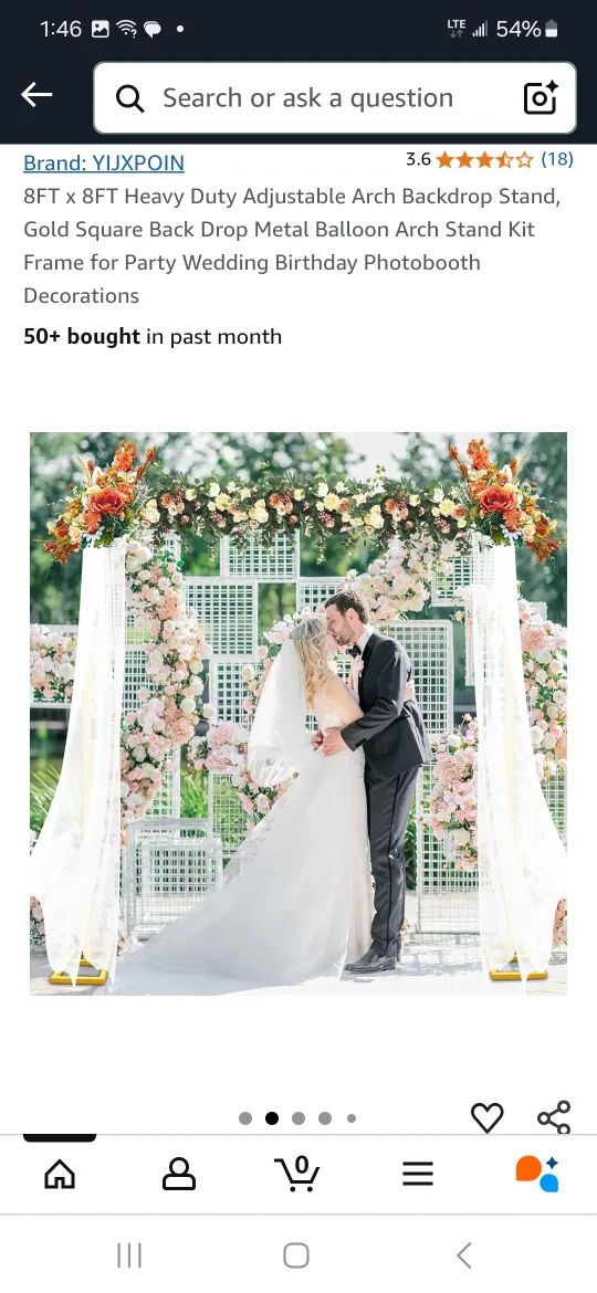 party arch backdrop *new* thumbnail