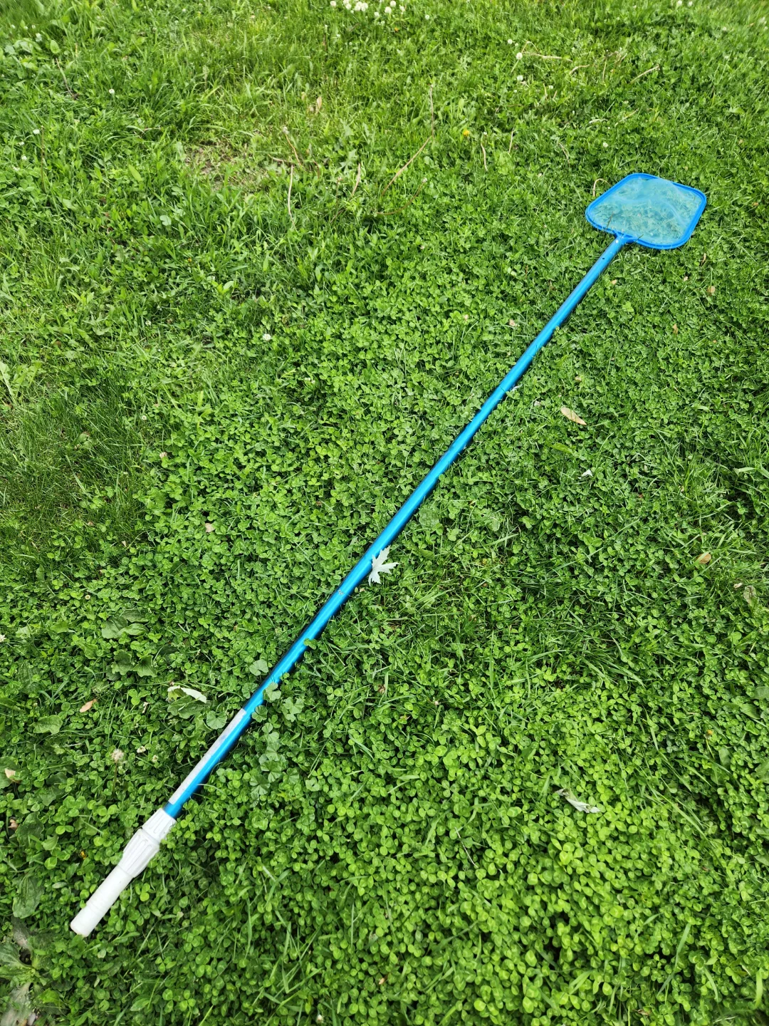 pool skimmer thumbnail