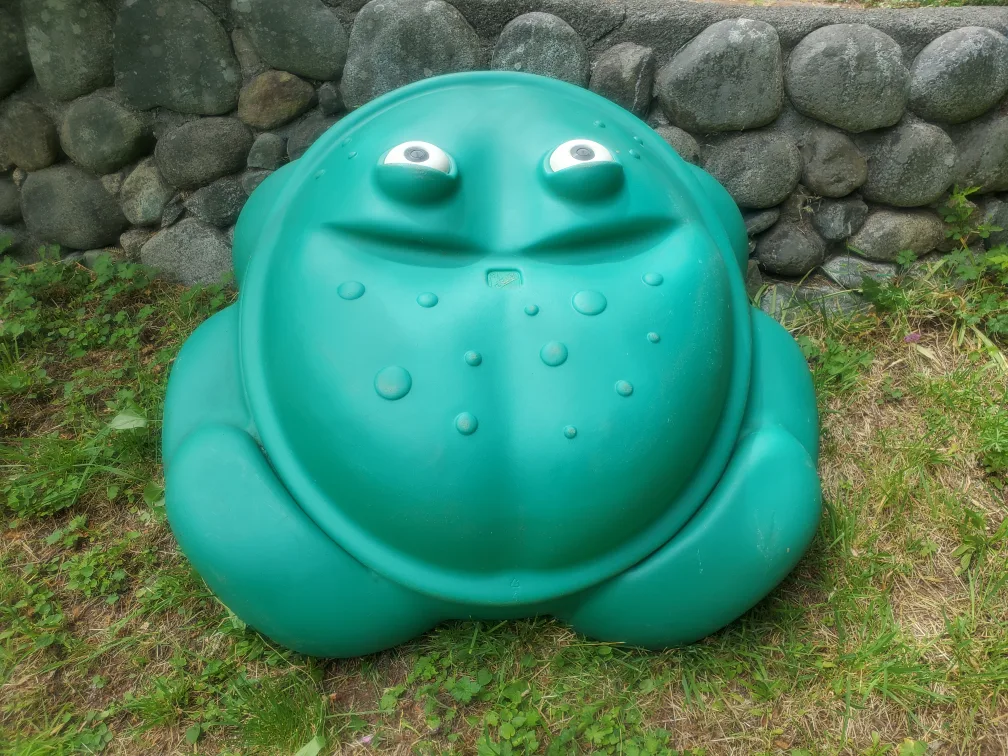 Froggy Sand Box or water pool image indicator(2)