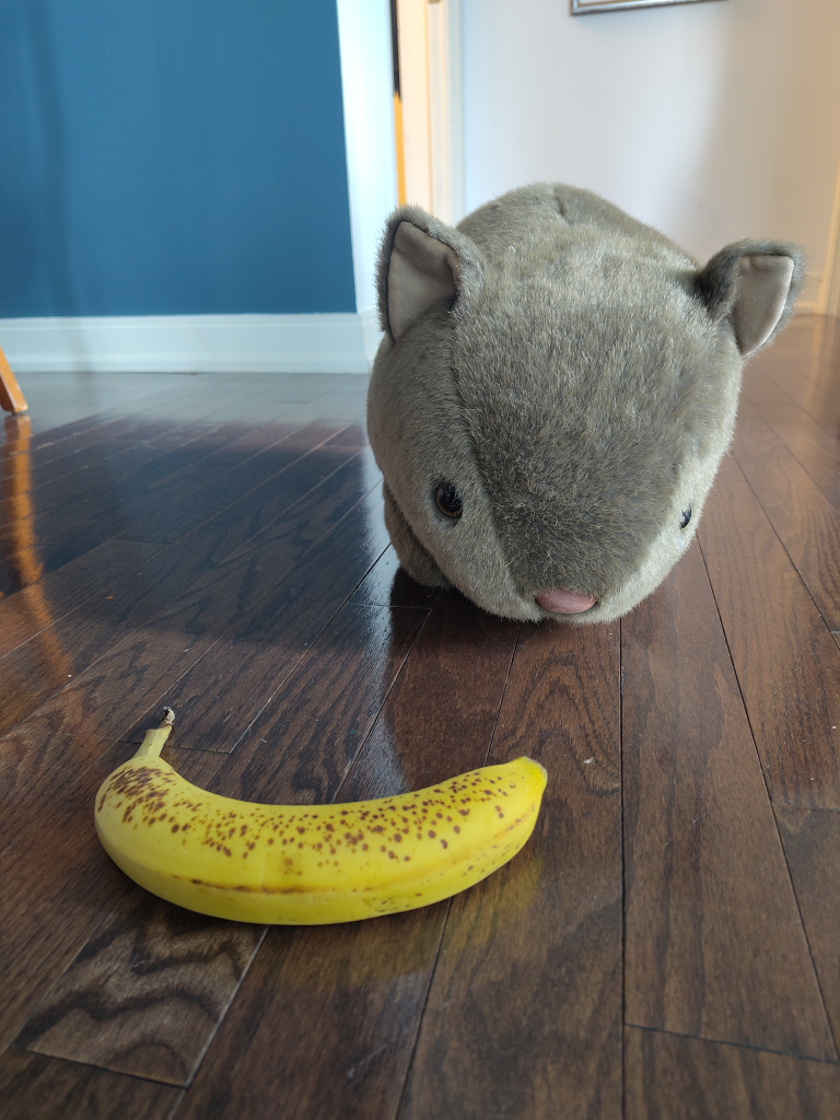 Life sized Stuffed Wombat - photo 3