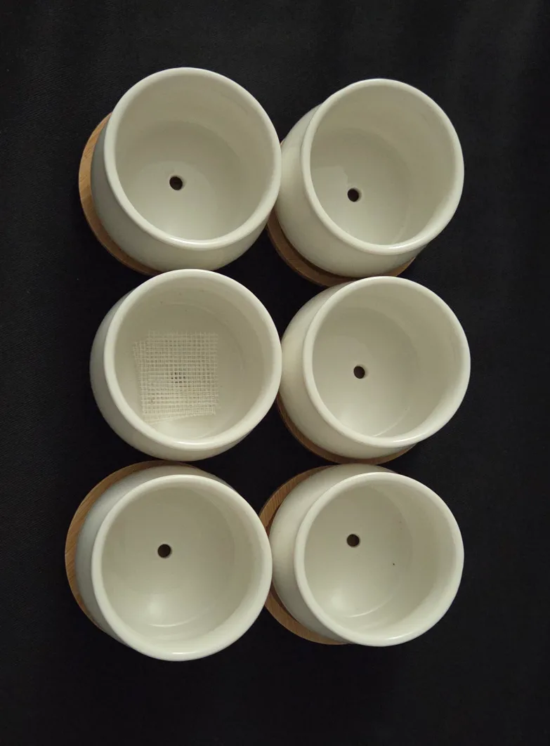 Set of White Ceramic Planters with Wooden Coasters image indicator(2)
