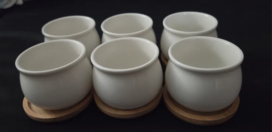 Set of White Ceramic Planters with Wooden Coasters image indicator(3)