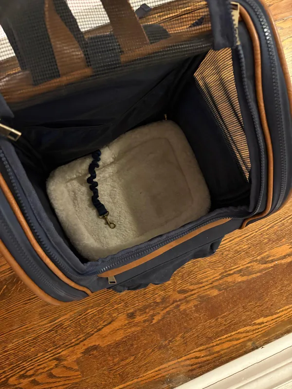 Stylish pet carrier backpack image indicator(4)