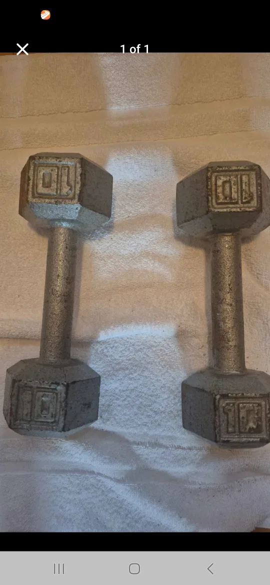 10 lbs weight pair thumbnail