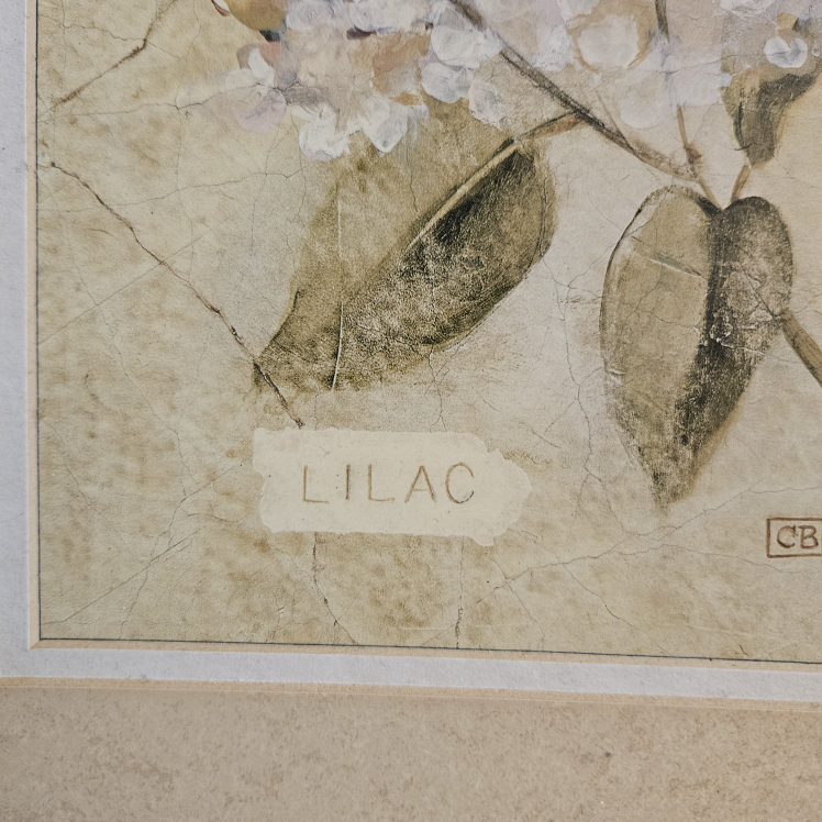 Botanical Floral Framed Prints