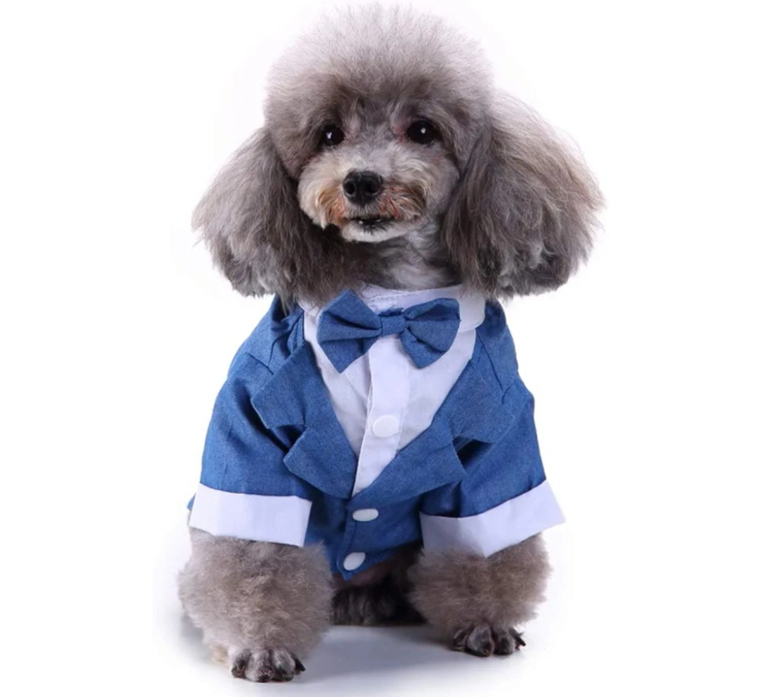 Cute denim dog tuxedo - Size XS
