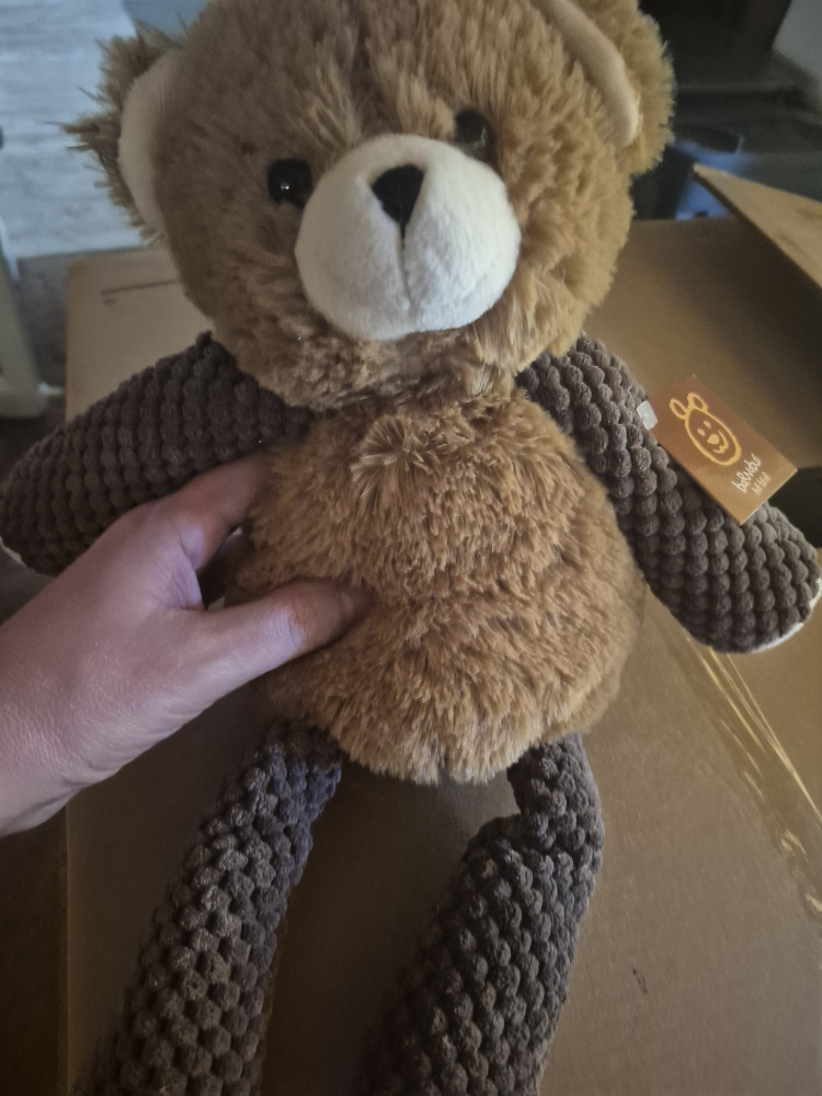 Scentsy Buddy Barnabus the Bear 💚 - photo 3