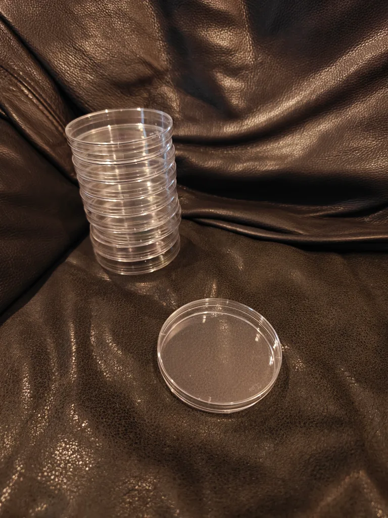 Petri Dishes - Stack of 9 thumbnail