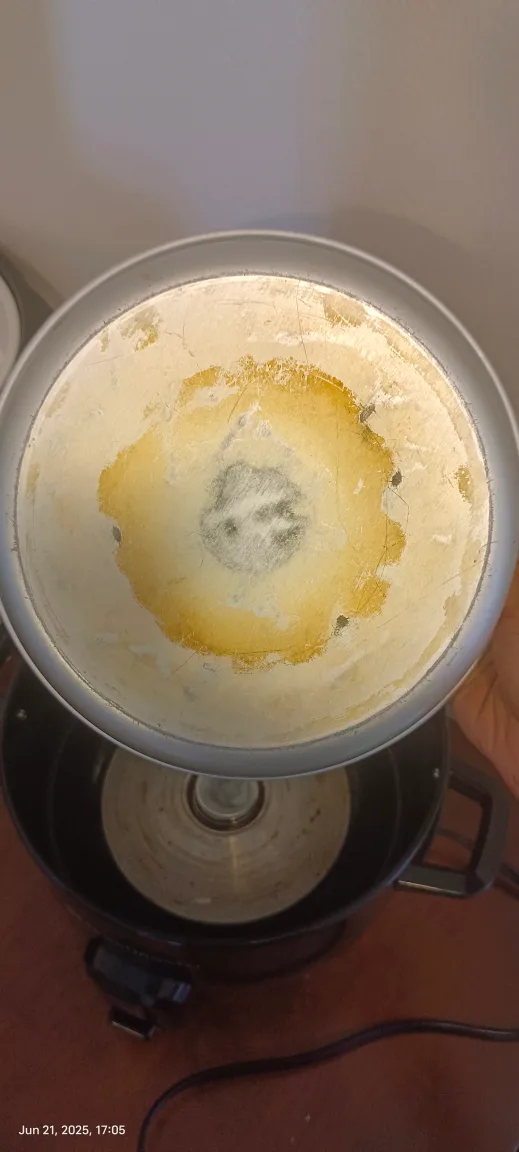 Toastmaster Rice Cooker, 10-cup image indicator(4)