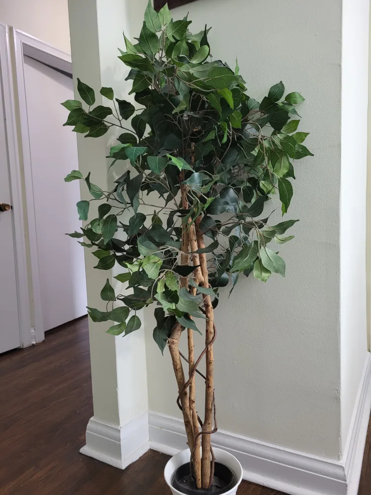Artificial Tree 💚 thumbnail