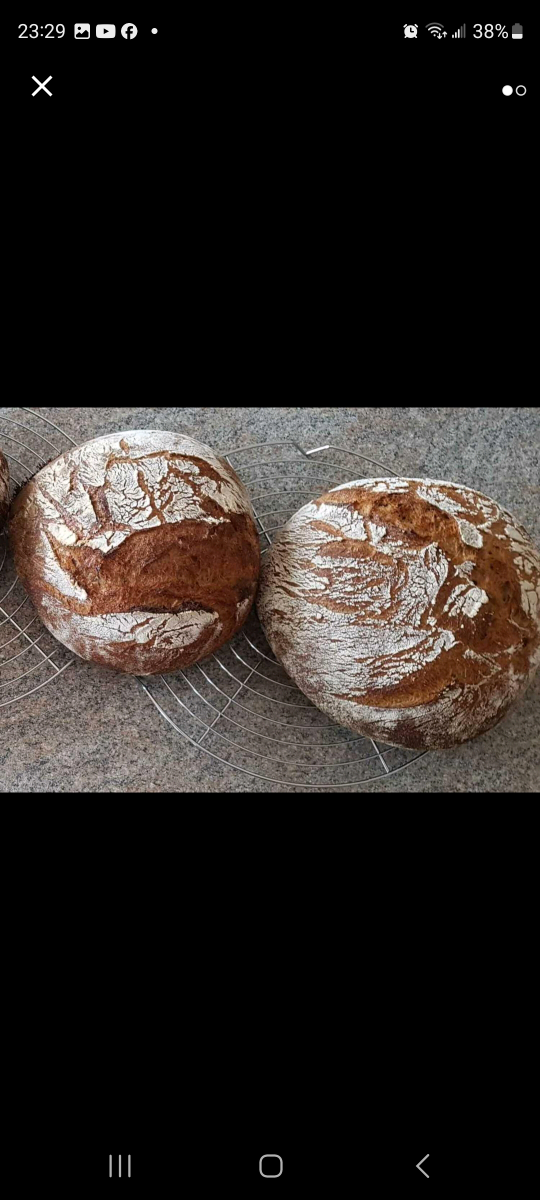 Sourdough whole wheat Bread