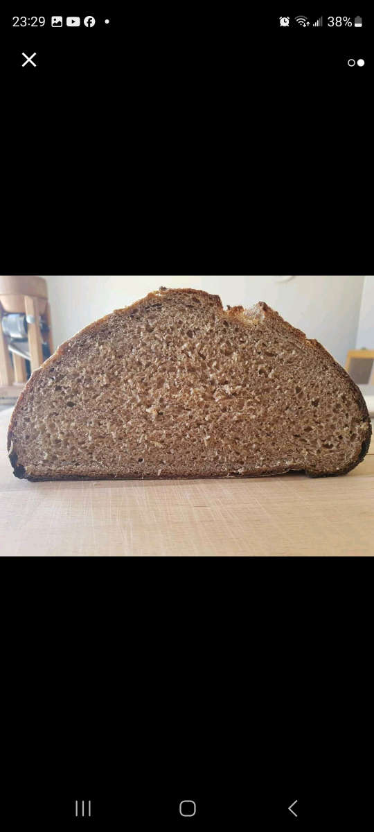 Sourdough whole wheat Bread - photo 2