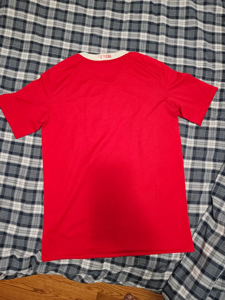 Nike Indonesia national team soccer jersey football kit image indicator(4)