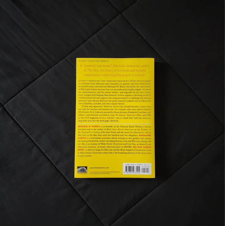 3 Book Lot: Toni Morrison, Monique W. Morris image indicator(3)