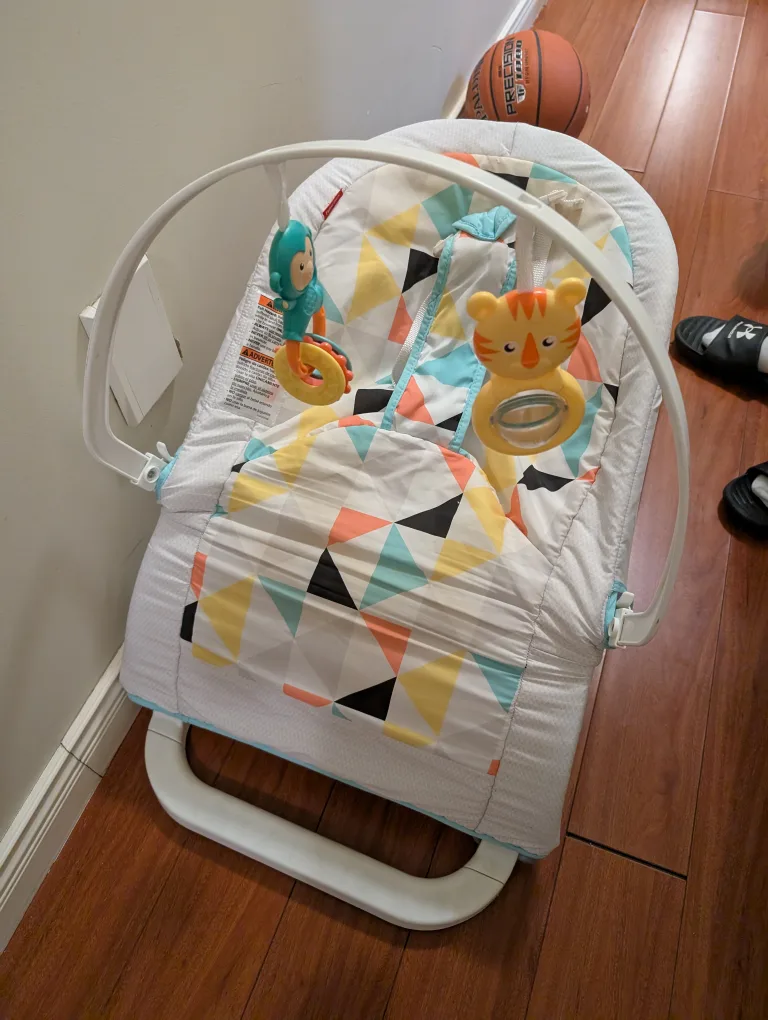 Fisher-Price Baby Bouncer thumbnail