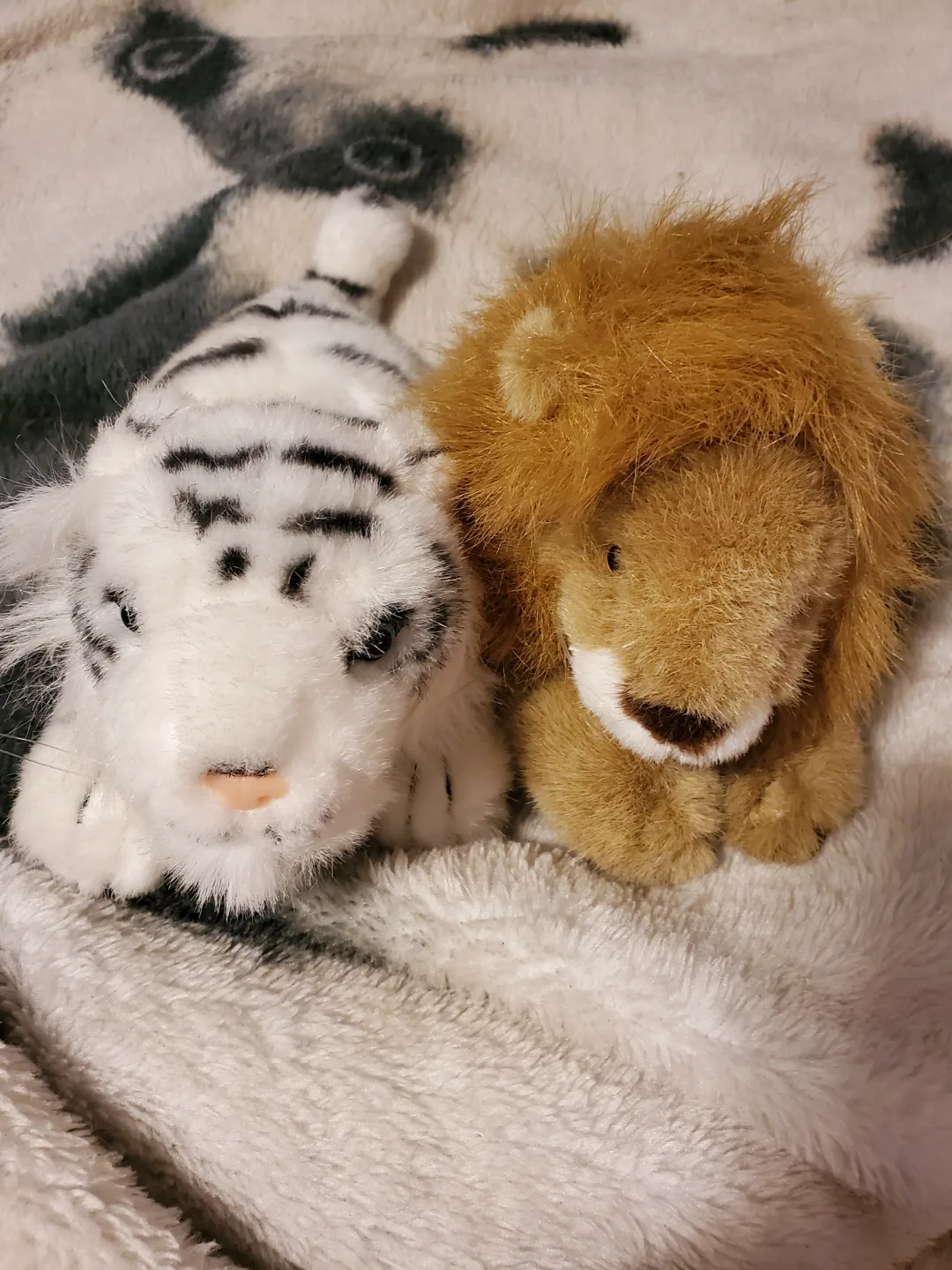 Stuffed Animal Collection thumbnail