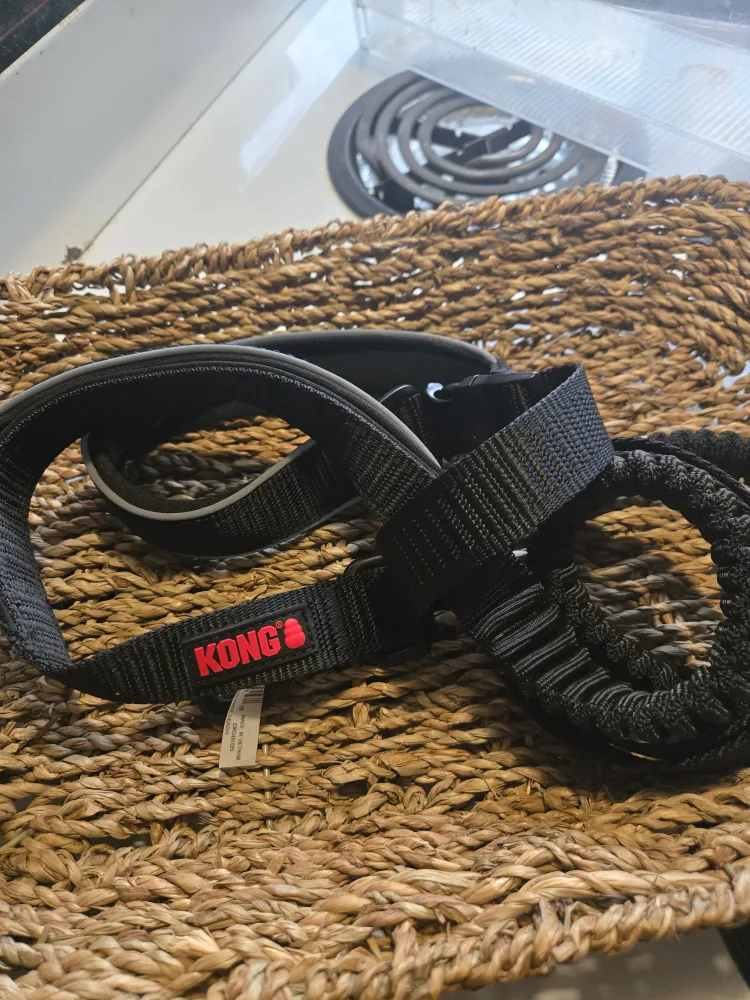 KONG Dog 6ft Leash in Black thumbnail