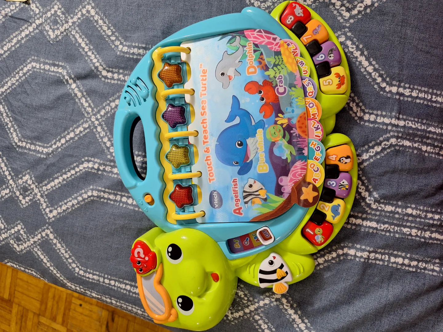 VTech Touch and Teach Sea Turtle thumbnail