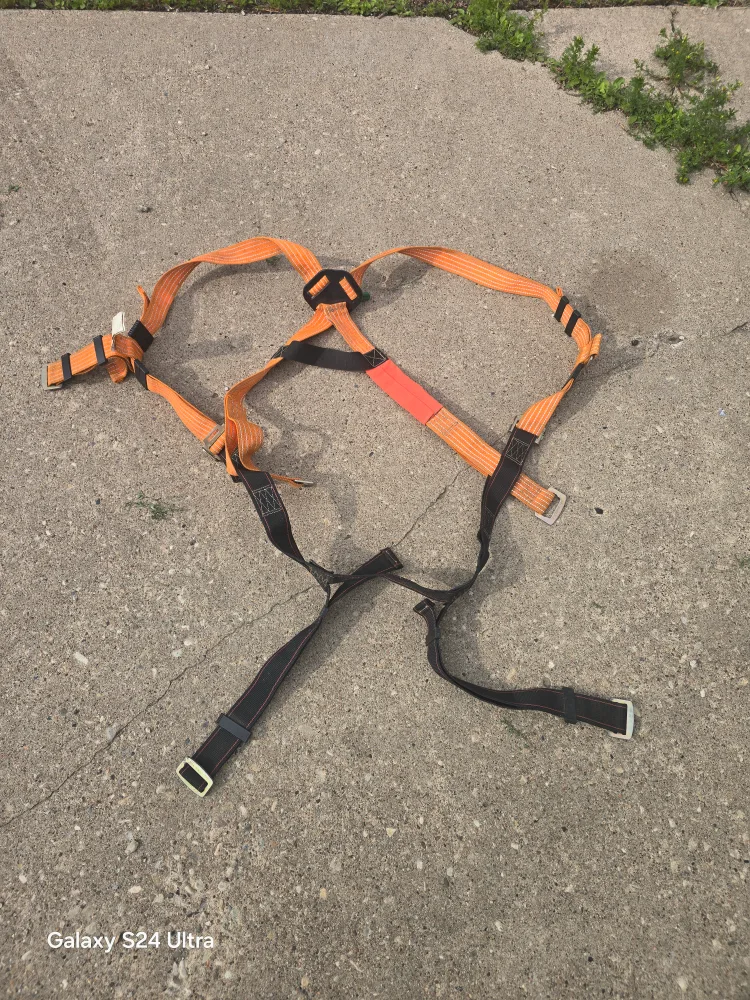Orange & Black Harness thumbnail