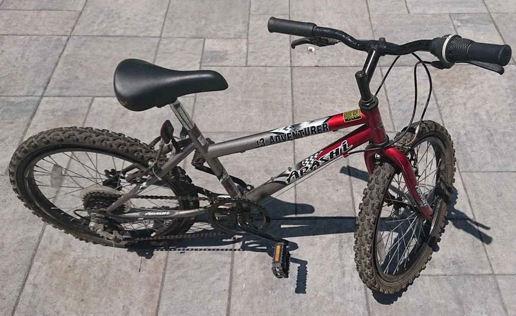 Youth Bicycle 16" image indicator(2)