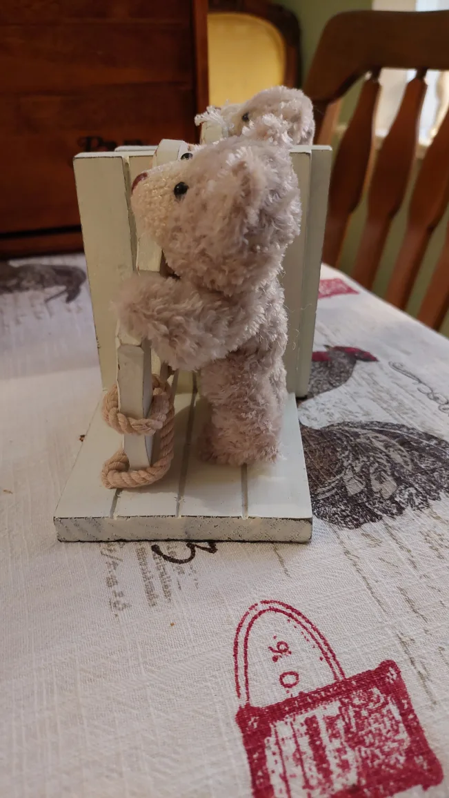 Adorable Teddy Bear Bookends image indicator(4)