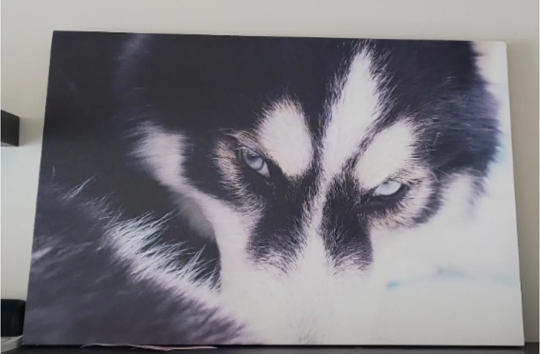 Mountain and Dog Canvas Prints image indicator(2)