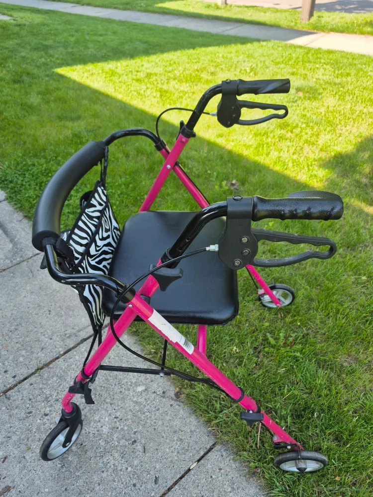 Pink Walker with Zebra Bag image indicator(2)