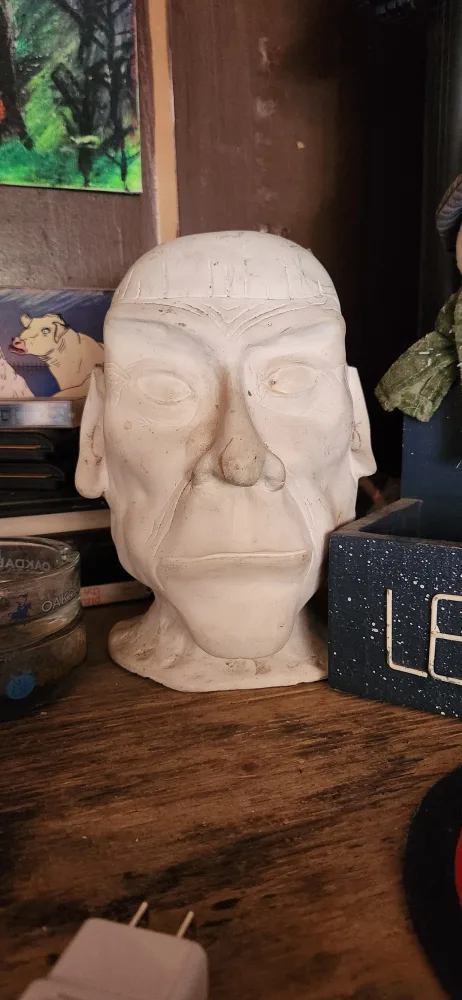 Unique Face Statue🥕 thumbnail