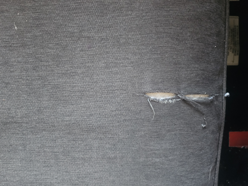 Dark Grey Couch - photo 3