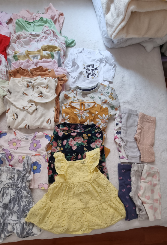 Baby Girl Clothing Bundle