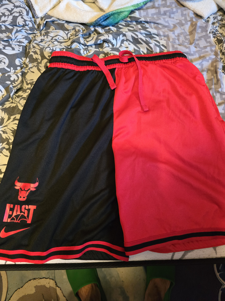 nba pro chicago bulls shorts
