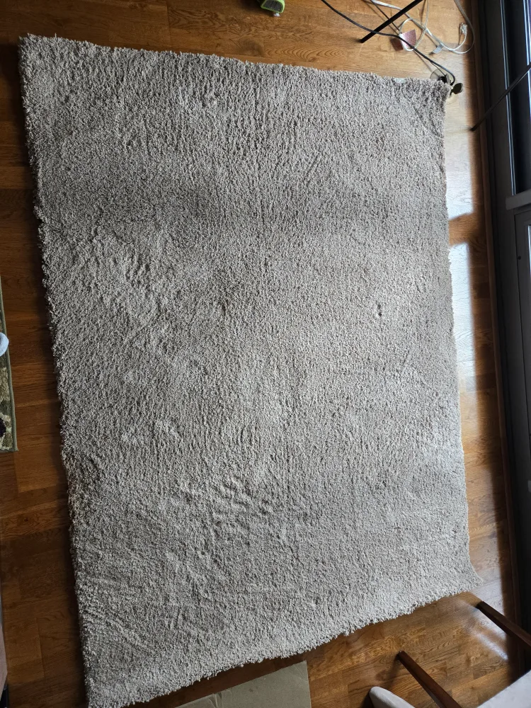 Beige Area Rug image indicator(6)