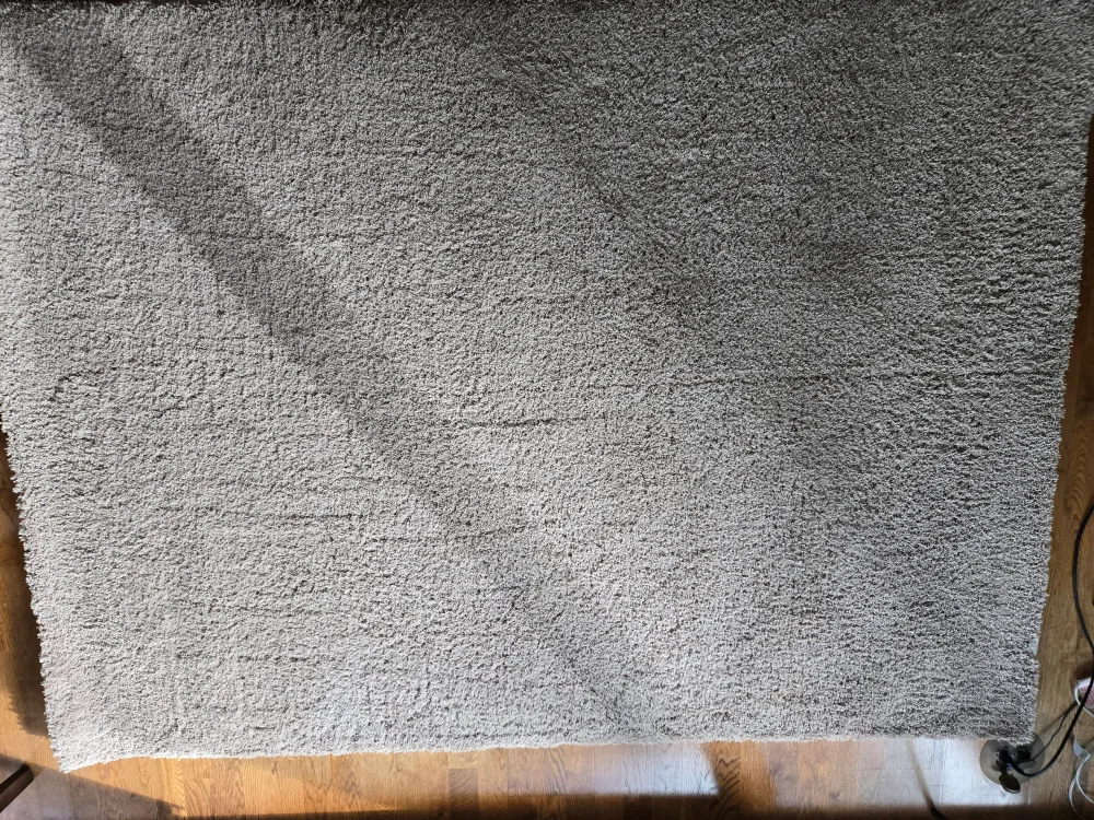 Beige Area Rug image indicator(10)