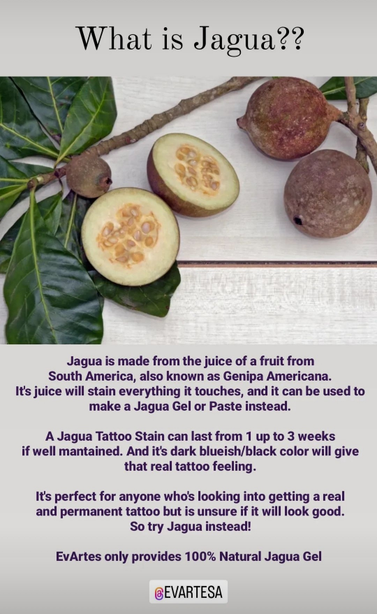 Organic Jagua Cones - photo 4