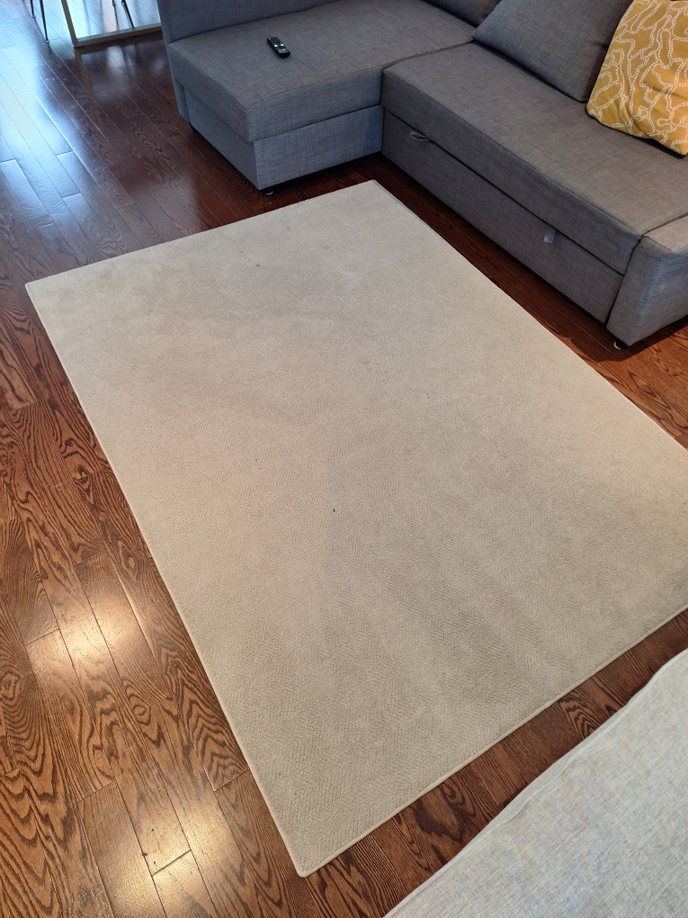 Beige Area Rug / Carpet