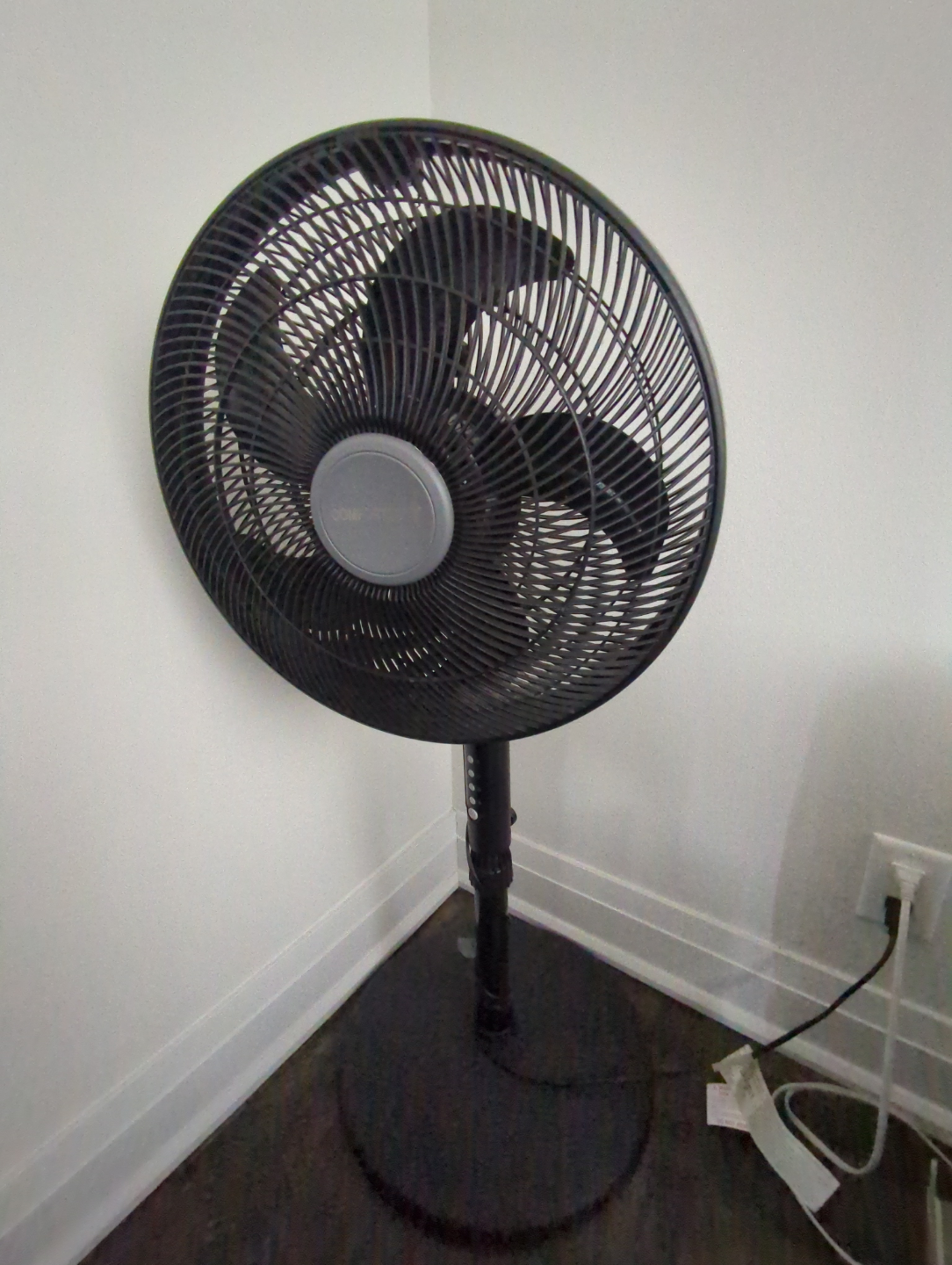 Black Standing Fan