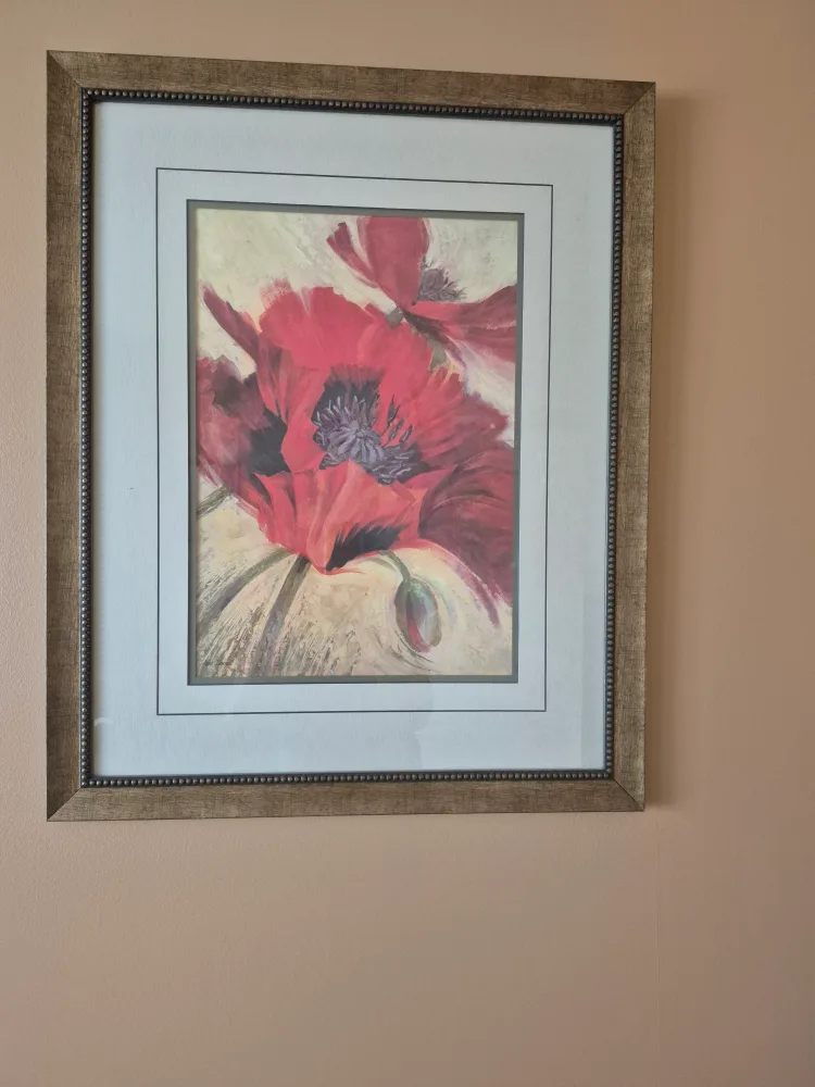 Framed Floral Art thumbnail