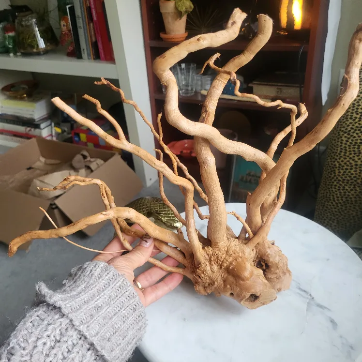 Large Decorative Driftwood for aquarium or terrarium image indicator(2)