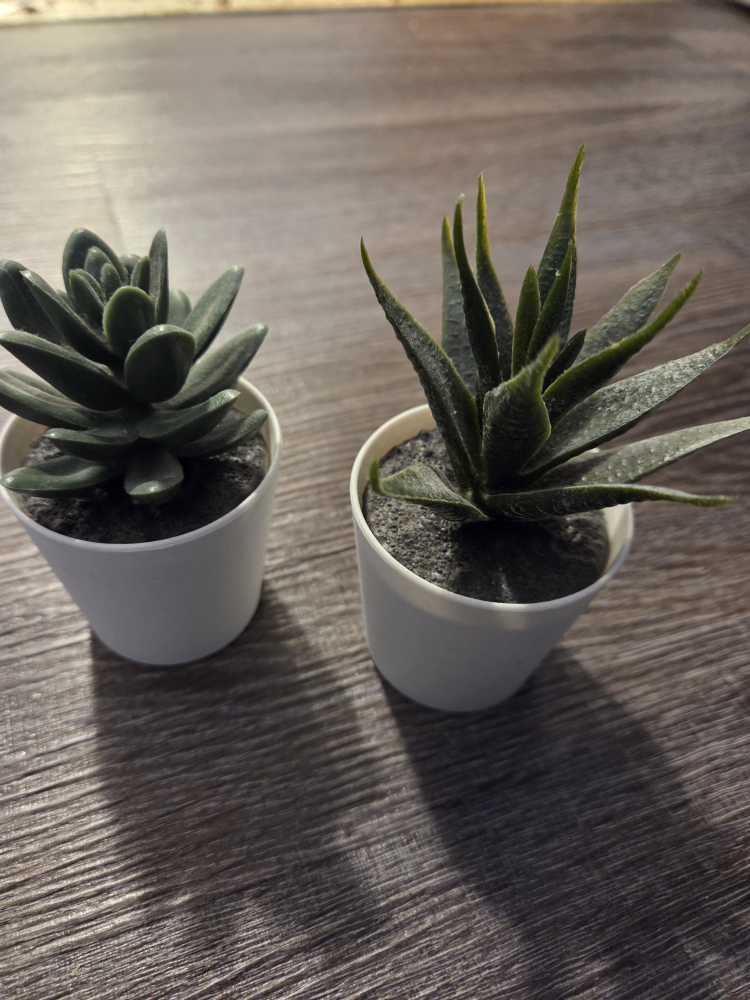Two small artificial succulent plants