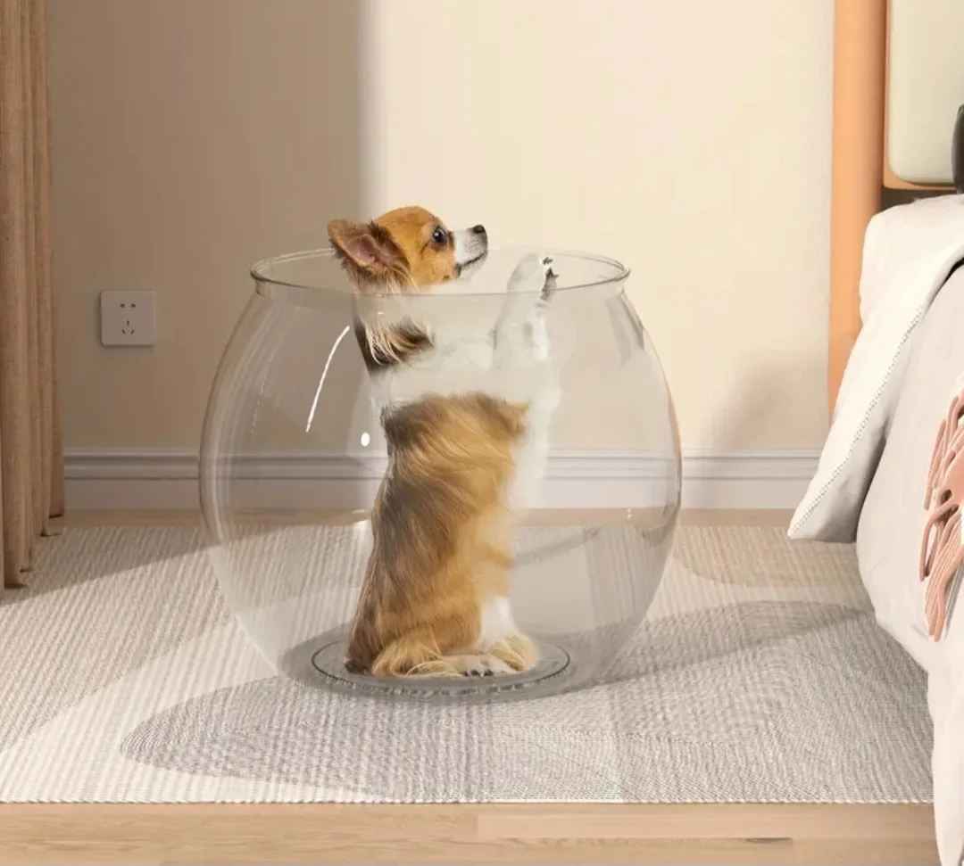 CLEAR ROUND PLASTIC CAT BED / CONTAINER image indicator(2)