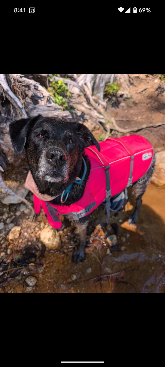 Outward Hound Dog Life Jacket