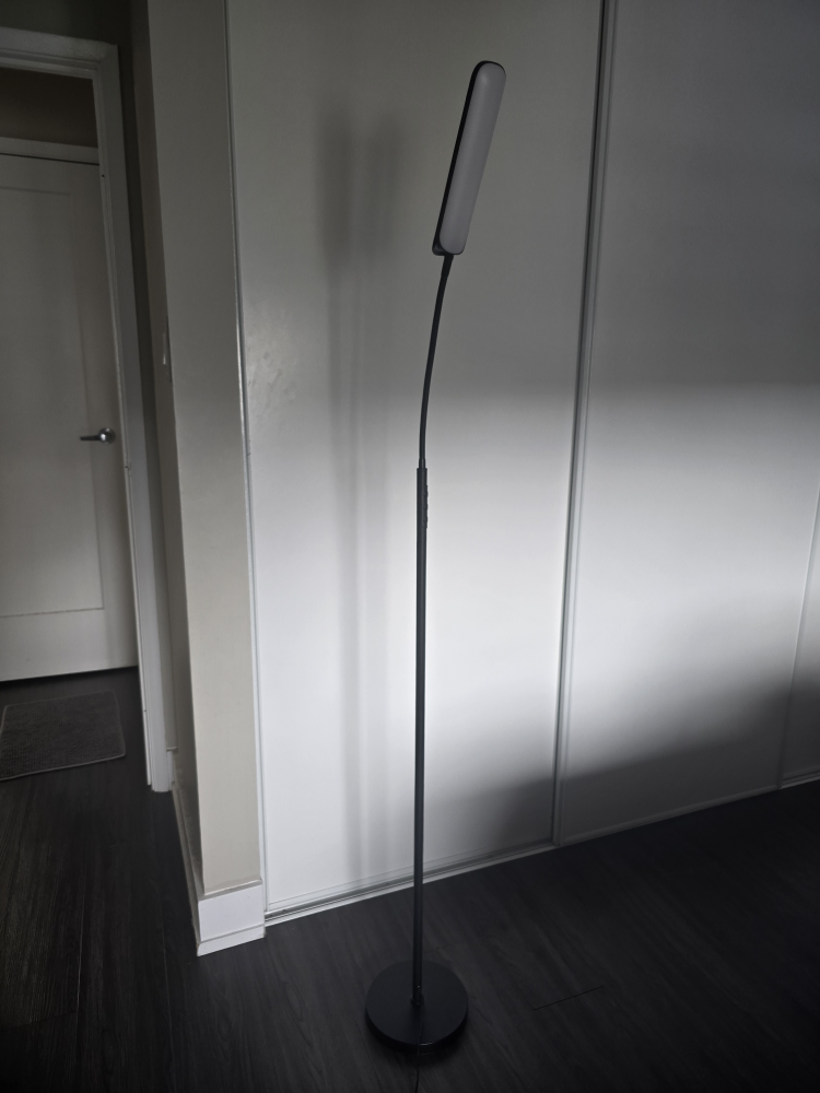 LED floor lamp for Living Room  Contact 437 838 3346