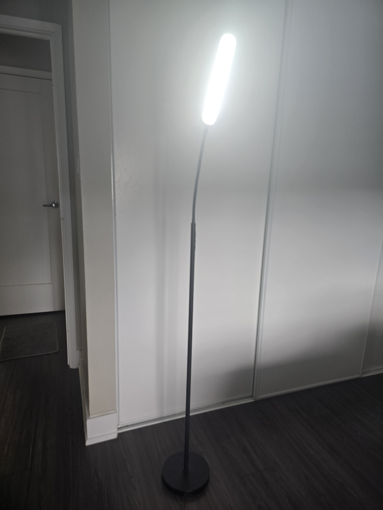 LED floor lamp for Living Room  Contact 437 838 3346 - photo 2