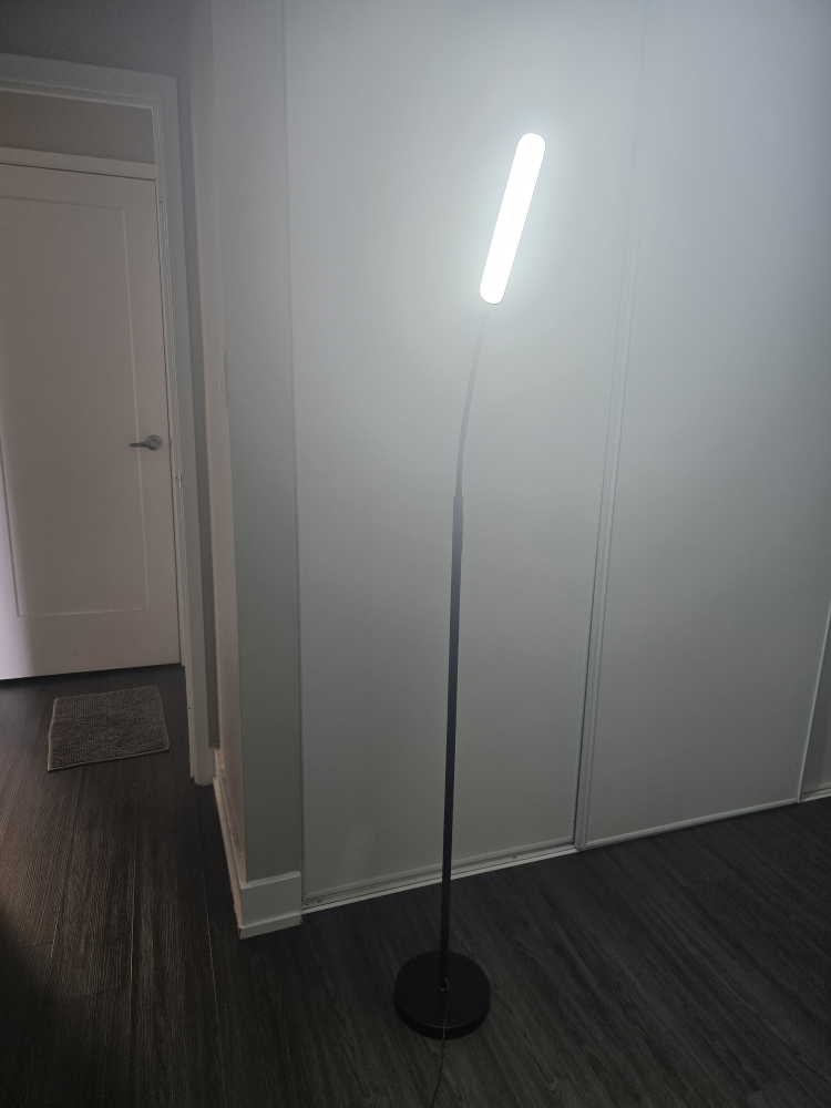 LED floor lamp for Living Room  Contact 437 838 3346 - photo 3