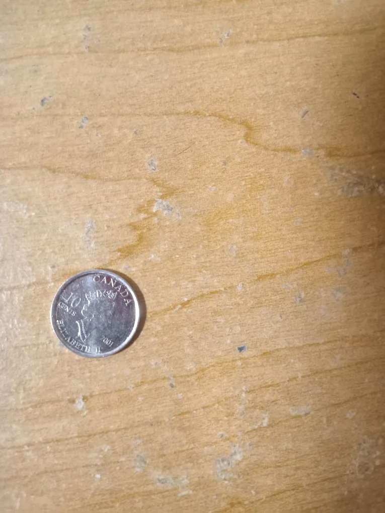 2001 QUEEN ELIZABETH II DIME TEN CENTS image indicator(6)