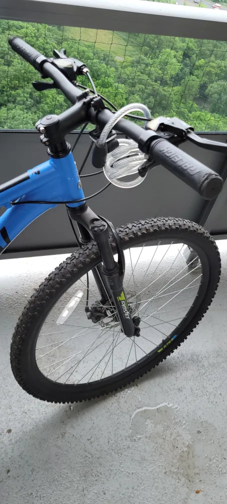 Raleigh adult bicycle image indicator(7)