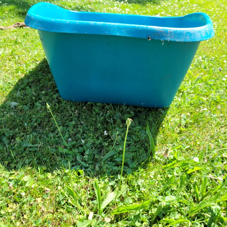 Wheelbarrow Tub for sale   🇨🇦 image indicator(4)