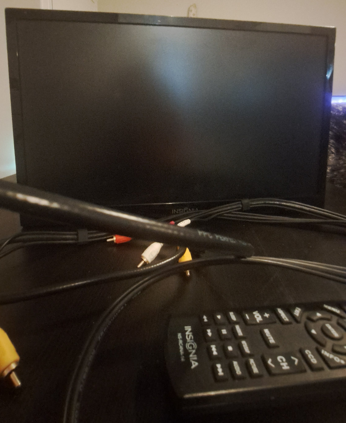 Insignia NS-24D310NA16 24-inch LED TV 🧡🥕🌟#freecycle